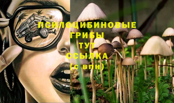 мяу мяу мука Арсеньев