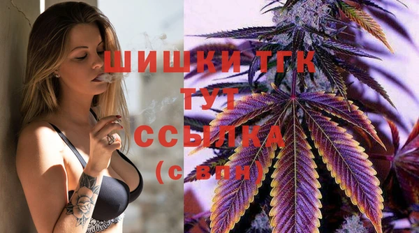 мяу мяу мука Арсеньев