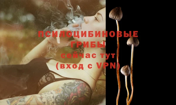 трава Няндома