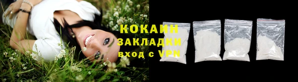 гидра Аркадак