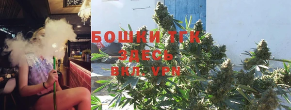 гидра Аркадак
