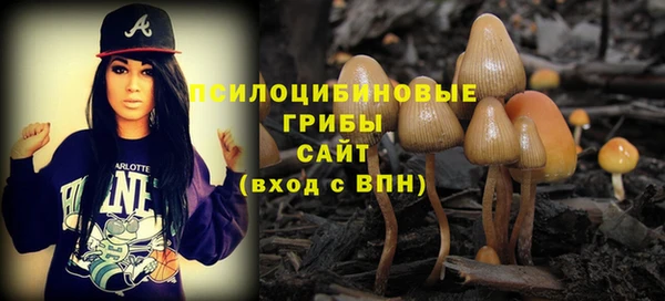 мяу мяу мука Арсеньев