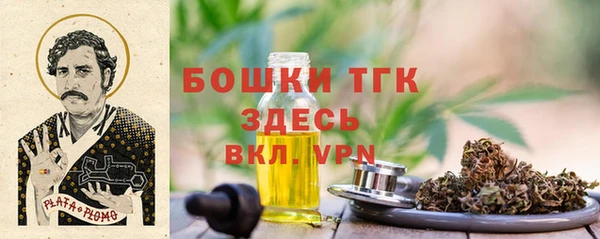 гидра Аркадак