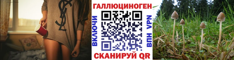 Псилоцибиновые грибы Psilocybe  закладки  MEGA tor  Тавда 